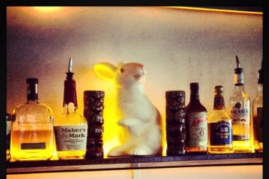 Hairy Canary - Accommodation Newcastle 0
