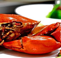 Newquay International Buffet - Accommodation Newcastle