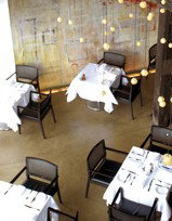 Flying Fish Bar - Accommodation Newcastle 0