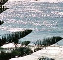 Bondi Social - Accommodation Newcastle