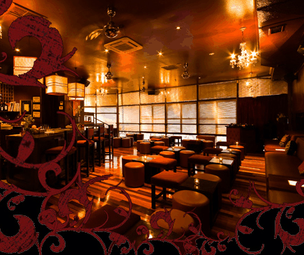 Hippo Lounge Bar - Accommodation Newcastle