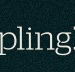 Dumpling Republic - Accommodation Newcastle