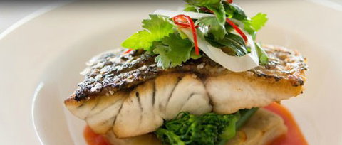 Orso Bayside Restaurant - Accommodation Newcastle 1