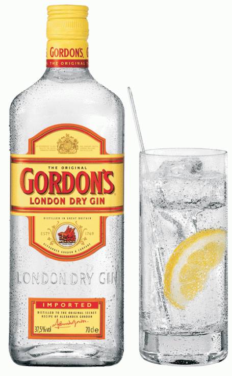 Surfers Paradise QLD Accommodation Newcastle