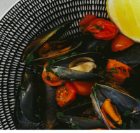 The Italian Diner - Accommodation Newcastle