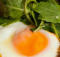 Rosebud Restaurant  Bar - Accommodation Newcastle