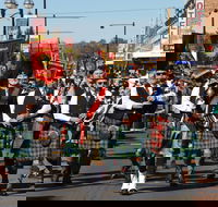 Australian Celtic Festival - Accommodation Newcastle