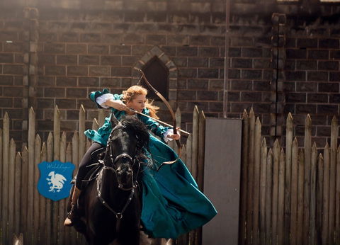 Baroque Horse Festival - Accommodation Newcastle 0