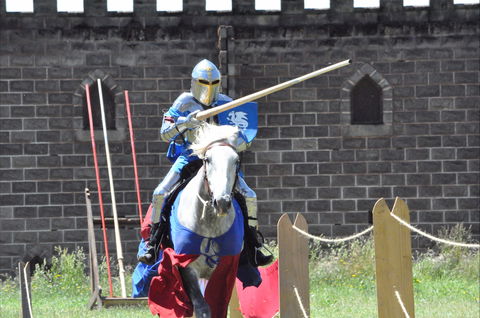 Baroque Horse Festival - Accommodation Newcastle 1