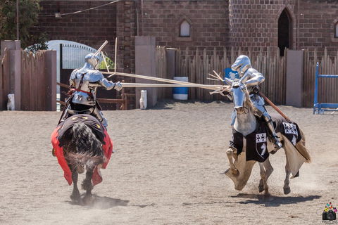 Baroque Horse Festival - Accommodation Newcastle 2