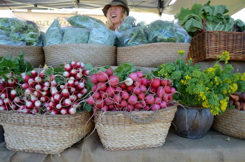 Berry Farmers' Market - Accommodation Newcastle 0