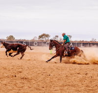 Birdsville Campdraft  Rodeo and Bronco Branding - Accommodation Newcastle