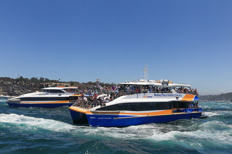 Boxing Day Cruise - Sydney To Hobart Yacht Race - Accommodation Newcastle 1