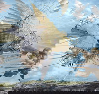 Dreams of Air and Flight - Accommodation Newcastle