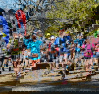 Duval Dam Buster Trail Run - Accommodation Newcastle