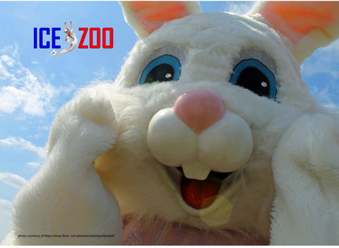 Easter Egg-stravaganza - Accommodation Newcastle 0