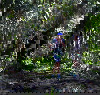 Elephant Trail Race - Accommodation Newcastle