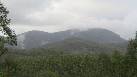 Elephant Trail Race - Accommodation Newcastle 2