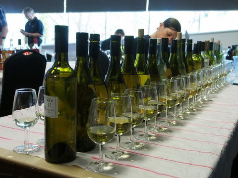 Eltham And District Wine Guild Annual Wine Show - 51st Annual Show - Accommodation Newcastle 1
