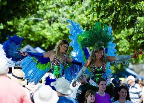 Family Fun Carnivale - Accommodation Newcastle 0
