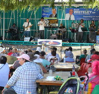Festival in the Park - Accommodation Newcastle