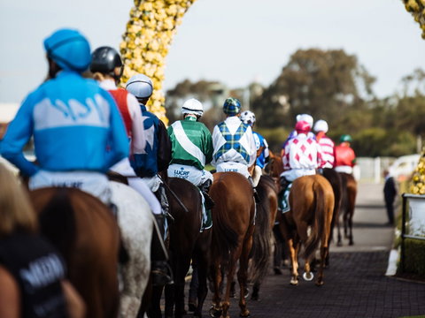 Golden Eagle Day - Accommodation Newcastle 1