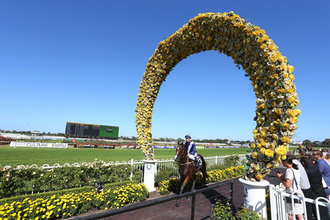 Golden Eagle Day - Accommodation Newcastle 2