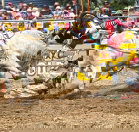 Jindabyne's Man From Snowy River Rodeo - Accommodation Newcastle