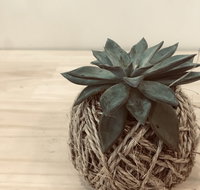Kokedama Workshop - Accommodation Newcastle
