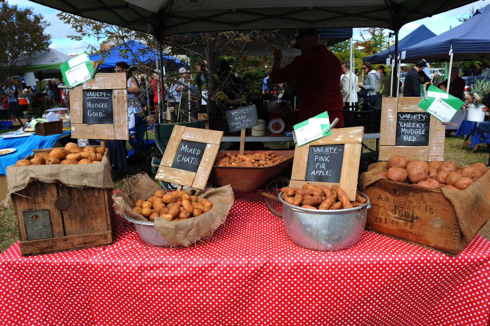 Mudgee NSW Accommodation Newcastle