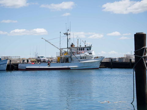 Love Sea Food Port Stephens - Accommodation Newcastle 1