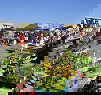 Maclean Community Monthly Markets - Accommodation Newcastle