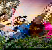 Meet the Dinosaurs at Scitech - Accommodation Newcastle