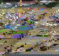 Millicent Agricultural and Horticultural Show - Accommodation Newcastle