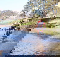 Mountain Man Tri Challenge - Accommodation Newcastle