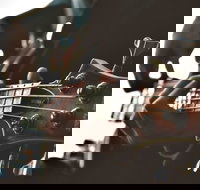 Muso Night - Accommodation Newcastle