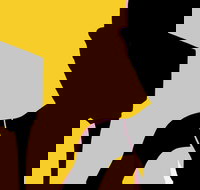 Naked Classics Fantastic Symphonies - Accommodation Newcastle