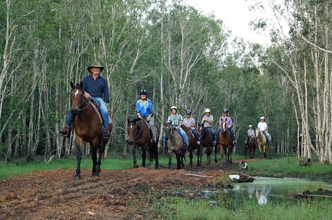 Night Horse Ride And Dinner - Accommodation Newcastle 0