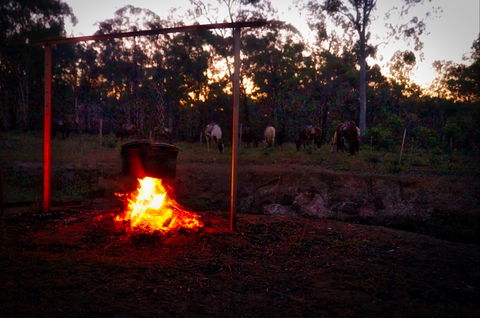 Night Horse Ride And Dinner - Accommodation Newcastle 2