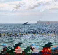 Nowra Toyota triHusky Huskisson Triathlon Festival Little Husky - Accommodation Newcastle