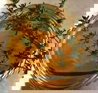 Online live streaming class DIY Skincare Products - Accommodation Newcastle