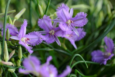 Our Campbelltown - Accommodation Newcastle 0