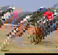 Pride of the West Races 2020 - Accommodation Newcastle