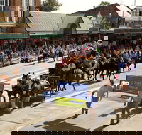 Scone Horse Festival - Accommodation Newcastle
