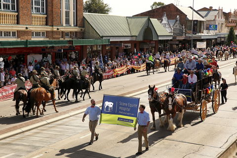 Scone Horse Festival - Accommodation Newcastle 0