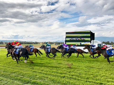 Scone Horse Festival - Accommodation Newcastle 2