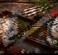 Seafood BBQ Cooking Class - Accommodation Newcastle