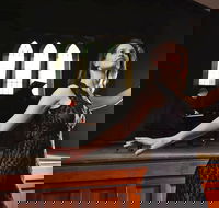 SwanSongs - Ghosts Fools and Seers - Accommodation Newcastle