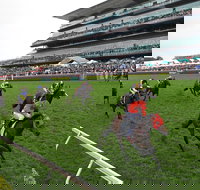 The TAB Everest The Worlds Richest Race On Turf - Accommodation Newcastle