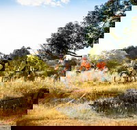 The Beverley Heroic - Accommodation Newcastle